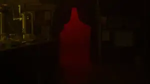 Backdrop to the movie "CHASER" #544735