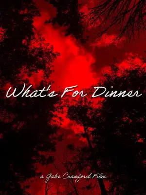 Poster to the movie "What