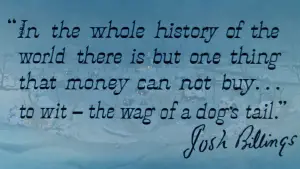 Backdrop to the movie "Lady and the Tramp" #629687