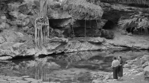 Backdrop to the movie "Cosmos" #799340