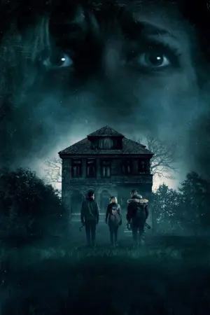 Poster to the movie "Don