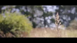 Backdrop to the movie "The Dropoff" #473111