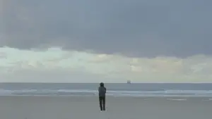 Backdrop to the movie "Sugarland" #697807