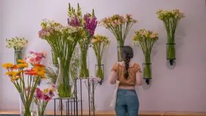 Backdrop to the movie "CRESCENDO" #352902