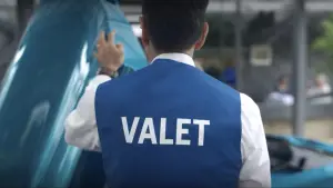 Backdrop to the movie "The Valet" #886320