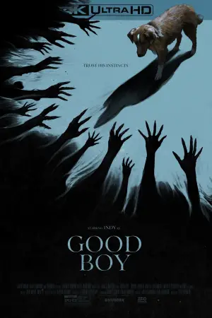 Poster to the movie "Good Boy" #517412
