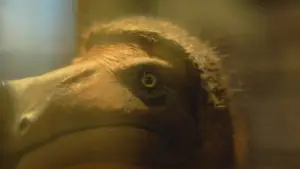 Backdrop to the movie "Little, Big, and Far" #799681