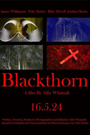 Poster to the movie "Blackthorn" #476518
