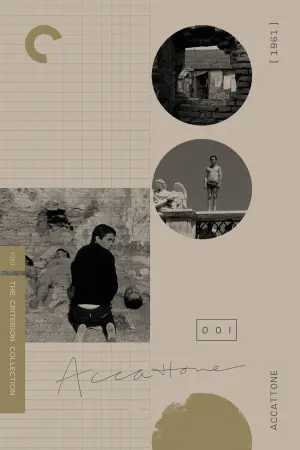 Poster to the movie "Accattone" #189014