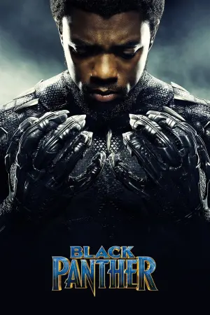 Poster to the movie "Black Panther" #219997