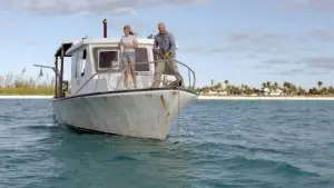 Backdrop to the movie "Dolphin Island" #745633