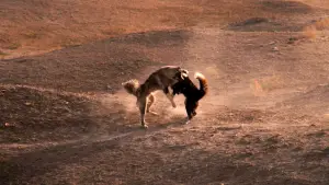 Backdrop to the movie "The Exorcist" #576821