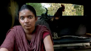 Backdrop to the movie "Kottukkaali" #366810