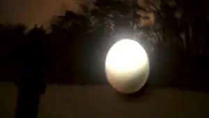 Backdrop to the movie "Ägg" #565112