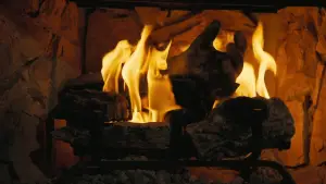 Backdrop to the movie "Fallout: The Ghoul Log" #643018