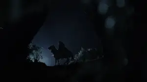 Backdrop to the movie "The Lord of the Rings: The Fellowship of the Ring" #515452