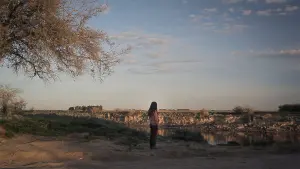 Backdrop to the movie "Trenque Lauquen" #378383