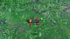 Backdrop to the movie "Girl Looking for Dog" #457538