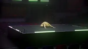 Backdrop to the movie "James Acaster: Hecklers Welcome" #681891