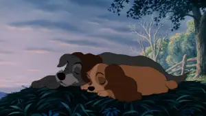 Backdrop to the movie "Lady and the Tramp" #629710