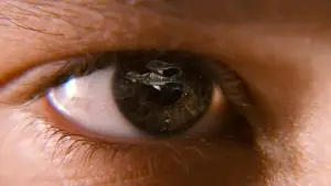 Backdrop to the movie "Bridge to Terabithia" #611563