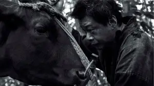 Backdrop to the movie "Black Ox" #543242