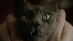 Backdrop to the movie "Constantine" #599954