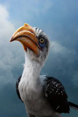 Poster to the movie "The Lion King" #173122