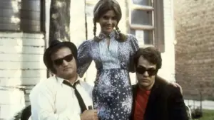 Backdrop to the movie "The Blues Brothers" #658038