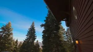 Backdrop to the movie "Donner Party 2" #405830