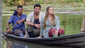 Backdrop to the movie "Love on the Amazon" #540465