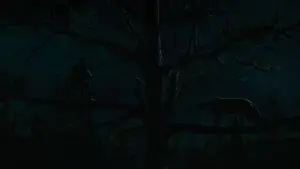 Backdrop to the movie "Prey" #626128