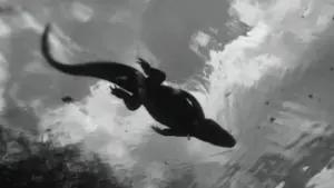 Backdrop to the movie "Nickel Boys" #598741