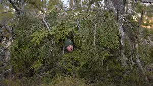 Backdrop to the movie "Whispers in the Woods" #534643