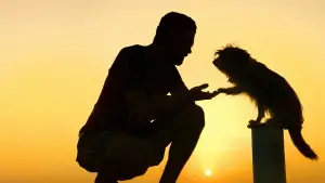 Backdrop to the movie "Pets" #670829