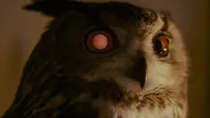 Backdrop to the movie "Blade Runner" #563457