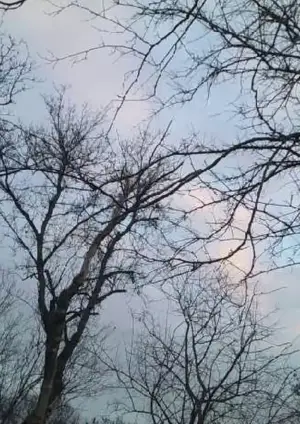 Poster to the movie "December 2024" #807875