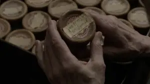 Backdrop to the movie "The History of Sound" #526058