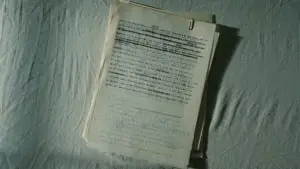 Backdrop to the movie "Queer" #584202