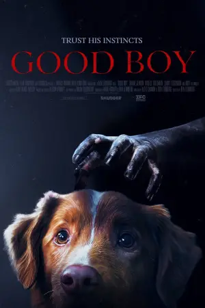 Poster to the movie "Good Boy" #517388
