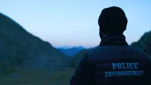 The Shepherd and the Bear