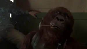 Backdrop to the movie "Congo" #701579