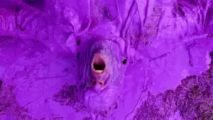 Backdrop to the movie "The Cat in the Hat" #687509