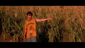 Backdrop to the movie "Jeepers Creepers 2" #710295