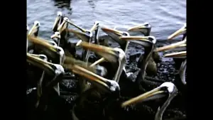 Backdrop to the movie "El Perú es un lugar para morir" #794363