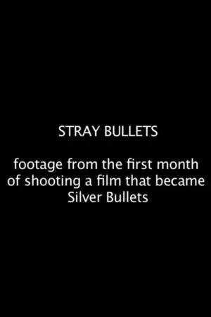 Movie poster "Stray Bullets"