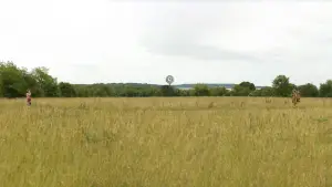 Backdrop to the movie "Moonrise Kingdom" #719523