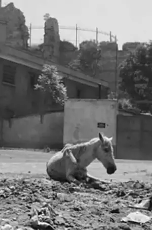 Poster to the movie "Byzance" #737092