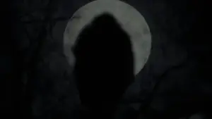 Backdrop to the movie "The Witch" #600202