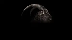 Backdrop to the movie "The Witch" #600302